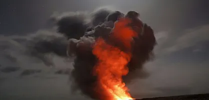 Zombie Fire Zombie Fire