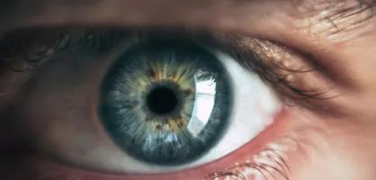 Eye