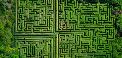 Complexity