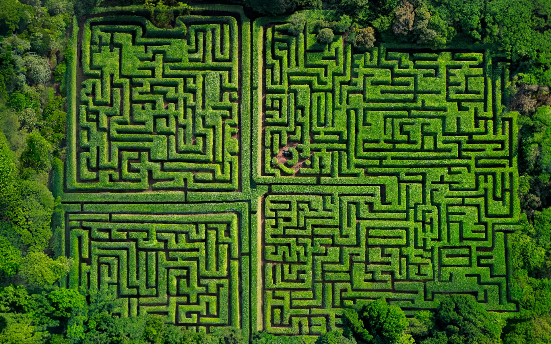 Complexity