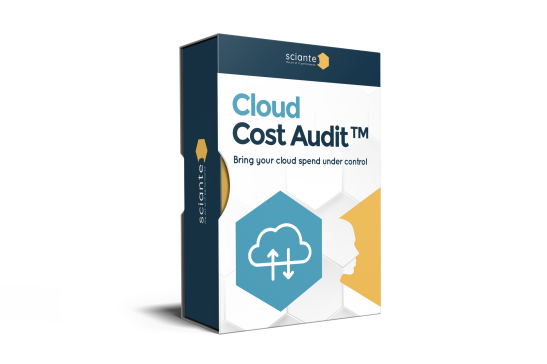 Cloud Cost Audit